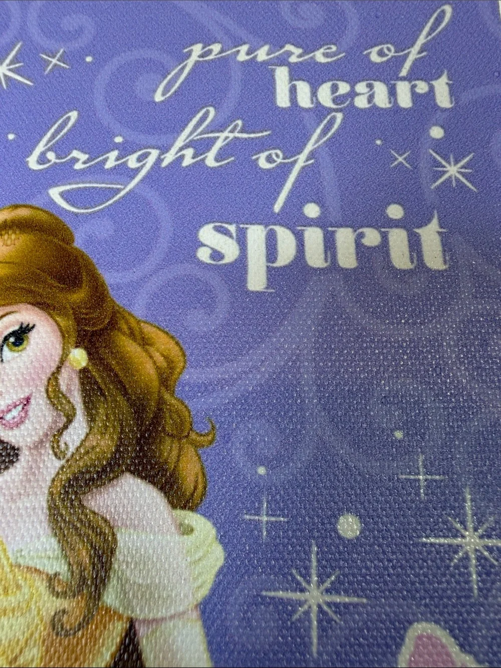 Disney Princess Wall Canvas – Jasmine Belle Cinderella – Pure of Heart Bright of